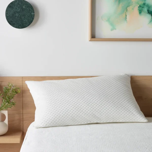 Staydry DuraDeluxe Waterproof Pillow Protector, Each (STAYPC75ZPDD)