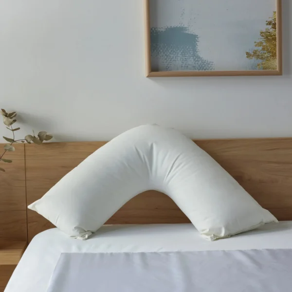 Staydry Duratherme Waterproof Boomerang Pillow (STAYPTBOOMWP)