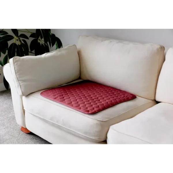 Buddies Chair Pad, Each (Regular / Large) - All Colors